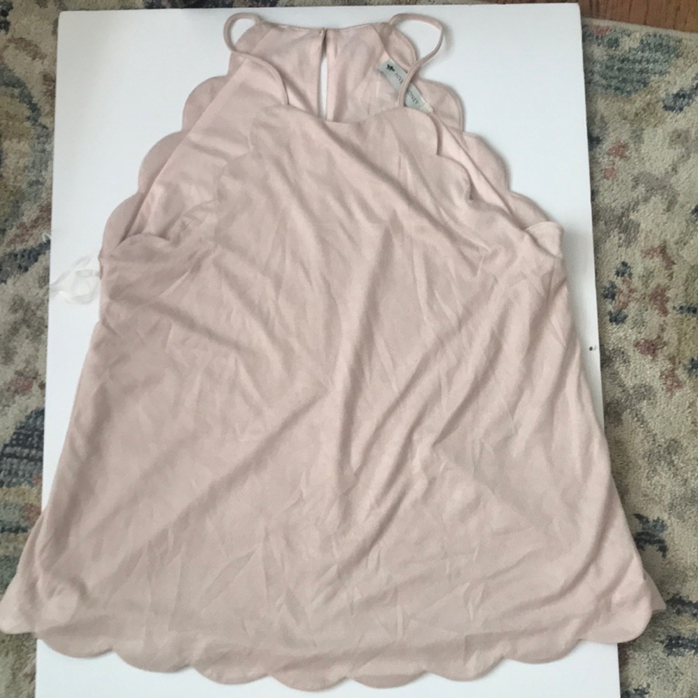 Velvet blouses